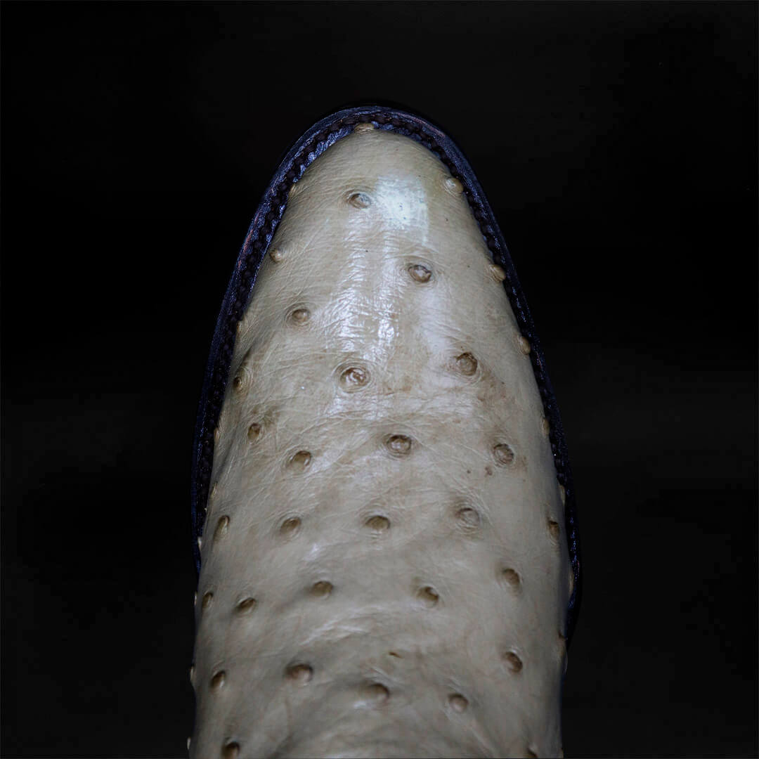Bota Oval de Avestruz Hueso CH112