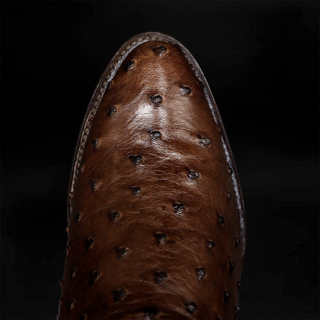 Bota Oval de Avestruz Tabaco CH111
