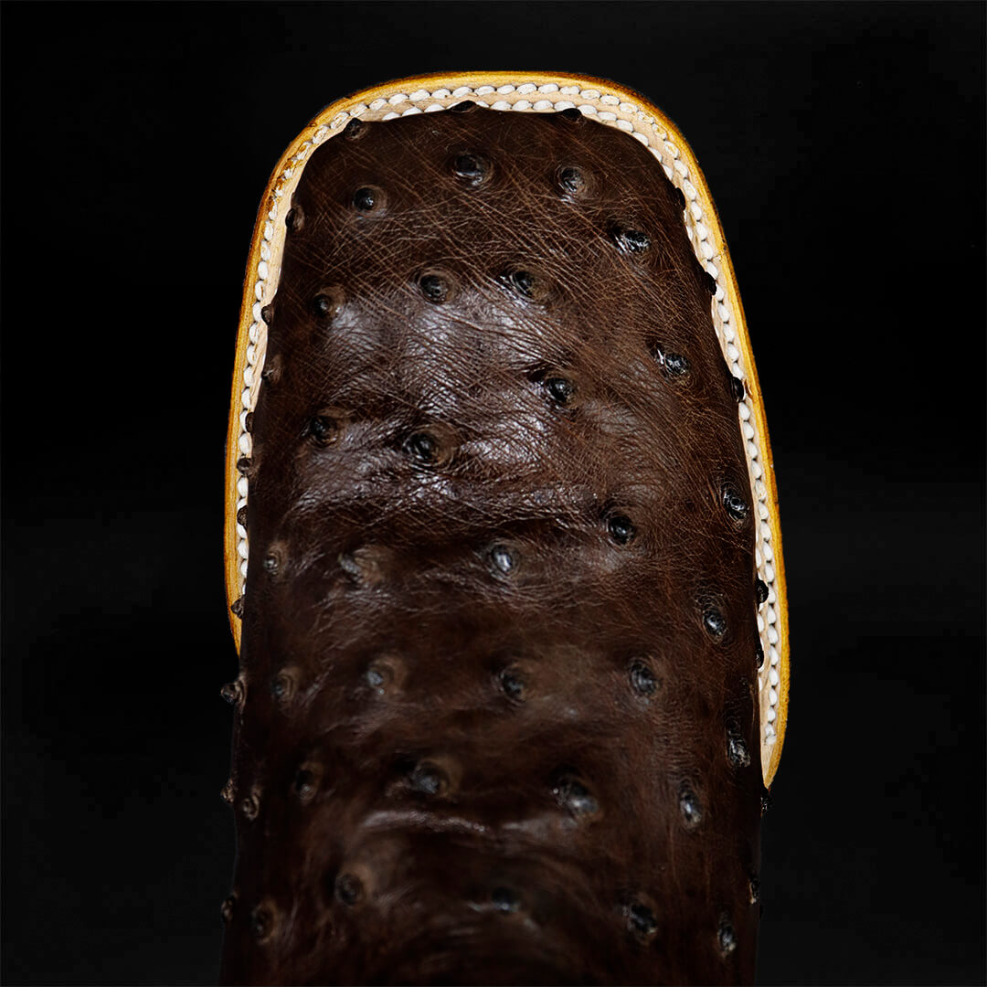 Bota Bulldog de Avestruz Tabaco CH101